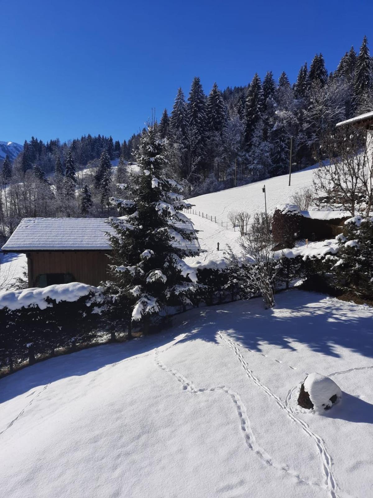 Berghof Mehlan Hotel Fischen im Allgaeu Quarto foto